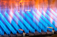 Petsoe End gas fired boilers
